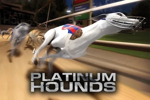 Platinum Hounds | Supercat Casino